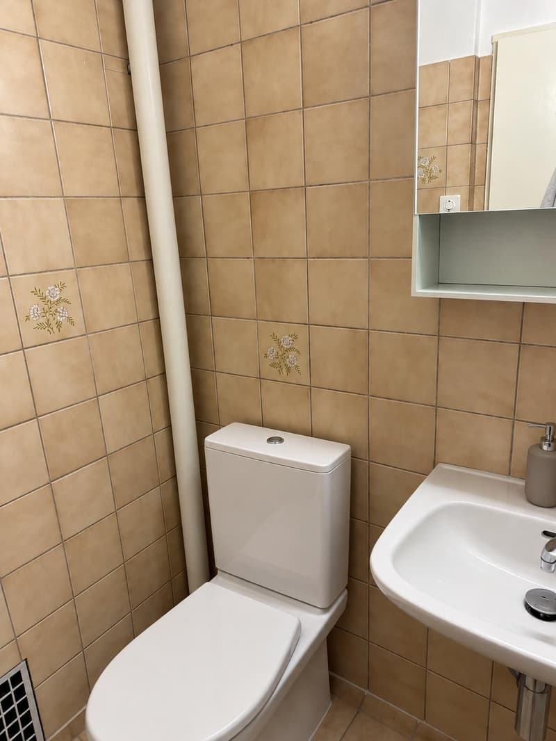 3.0 Zimmerwohnung in Bachenbülach (6)