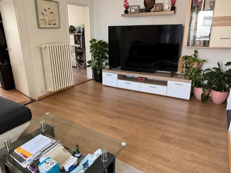 3.0 Zimmerwohnung in Bachenbülach (2)