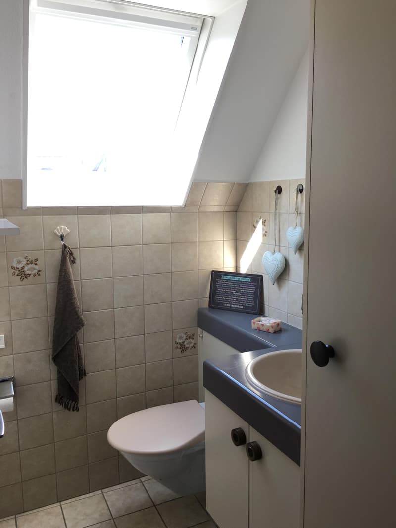 Charmante 4.5-Zimmer-Attika-Wohnung (4)