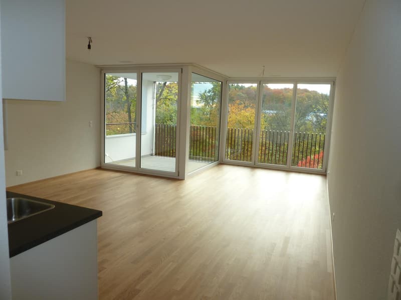 2.5 Zimmerwohnung in Schaffhausen (3)