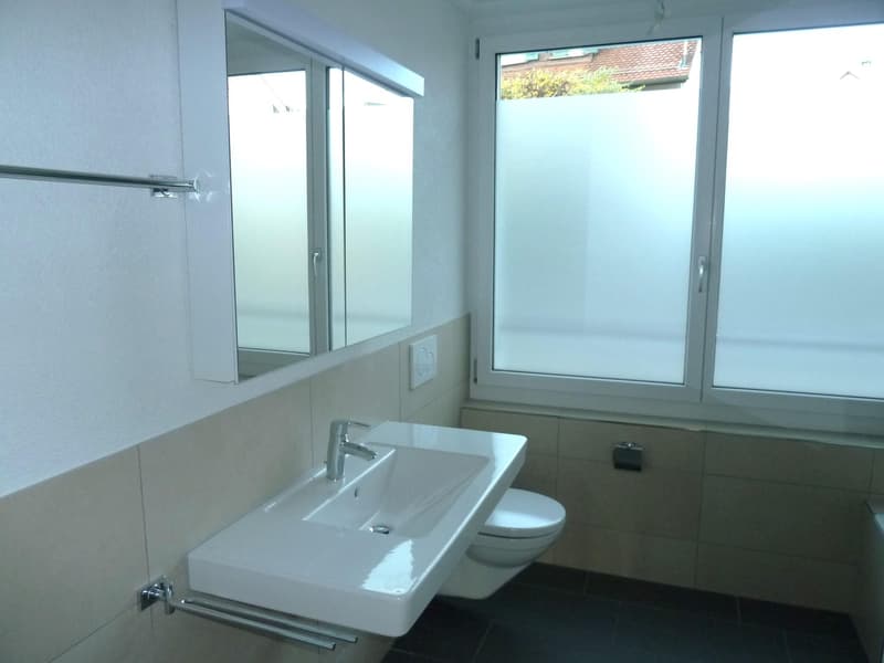 2.5 Zimmerwohnung in Schaffhausen (4)