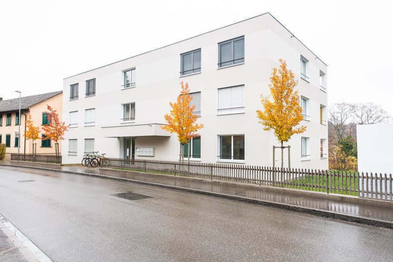 2.5 Zimmerwohnung in Schaffhausen (1)