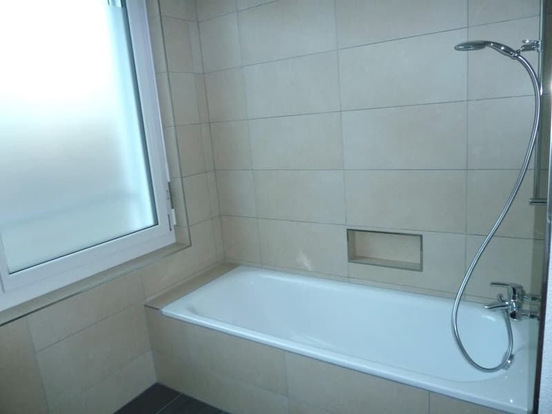 2.5 Zimmerwohnung in Schaffhausen (5)