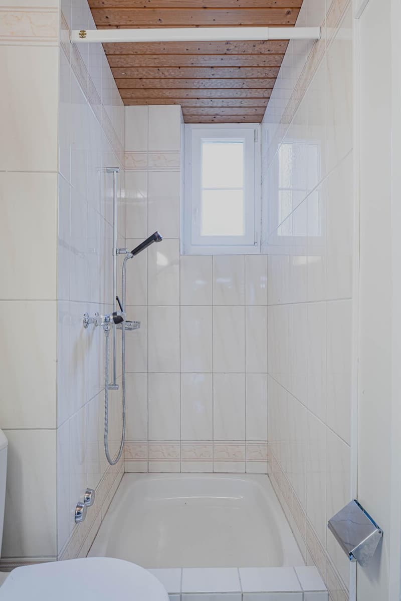 Charmante 3-Zimmer-Wohnung mit Altbauflair an zentraler Lage in Zürich (7)