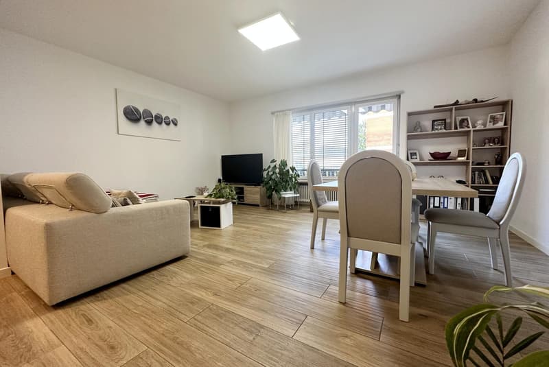 BELLISSIMO 4.5 COME NUOVO A LUGANO BREGANZONA (5)