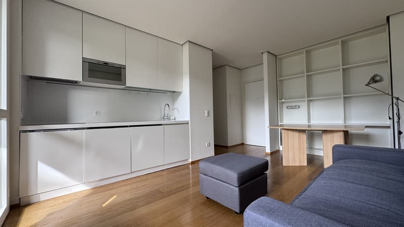 AFFITTASI 2.5 CON GIARDINO PISCINA E VISTA LAGO A BISSONE (11)