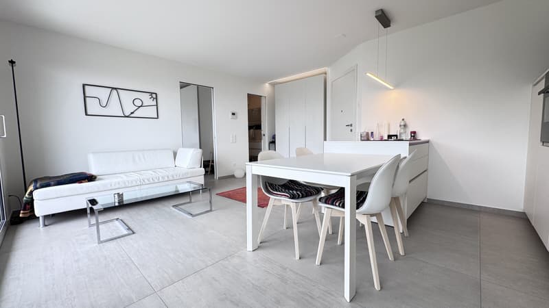 MODERNO 2.5 LOCALI CON GIARDINO PRIVATO A LUGANO CADRO (5)