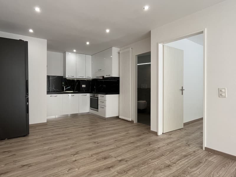 MODERNO 2.5 LOCALI CON PISCINA E GIARDINO PRIVATO A BARBENGO (2)