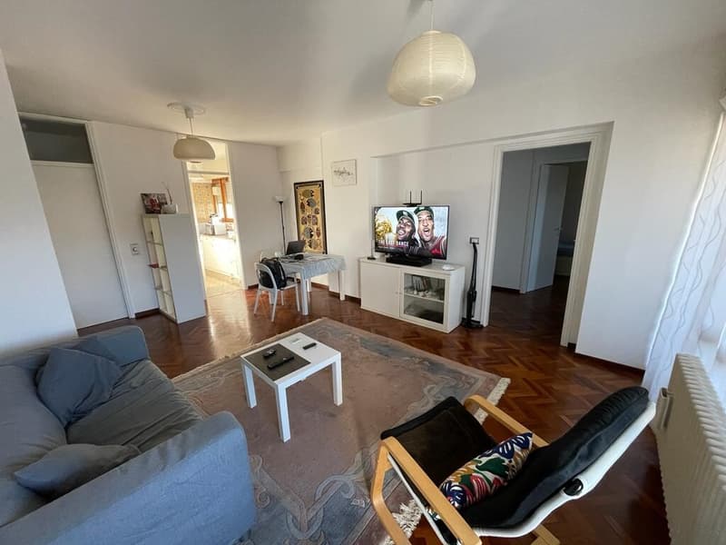 OTTIMO INVESTIMENTO - LUMINOSO 3.5 CON VISTA APERTA A LUGANO (3)