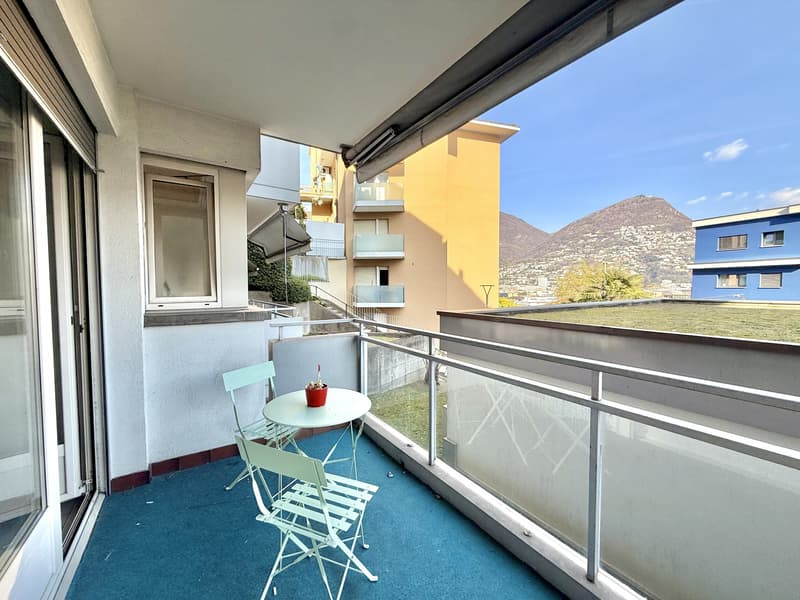 OTTIMO INVESTIMENTO A DUE PASSI DAL CENTRO DI LUGANO (5)