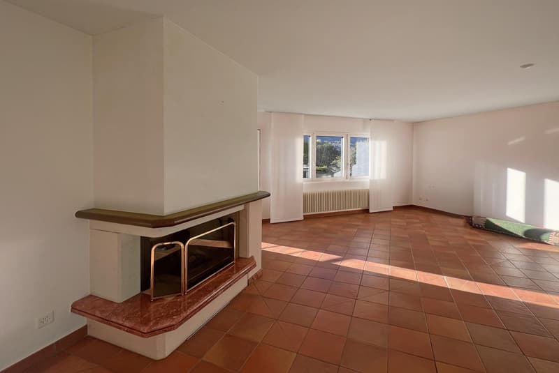 ULTIMO PIANO 4.5 NEL VERDE CON TERRAZZA A PONTE CAPRIASCA (2)