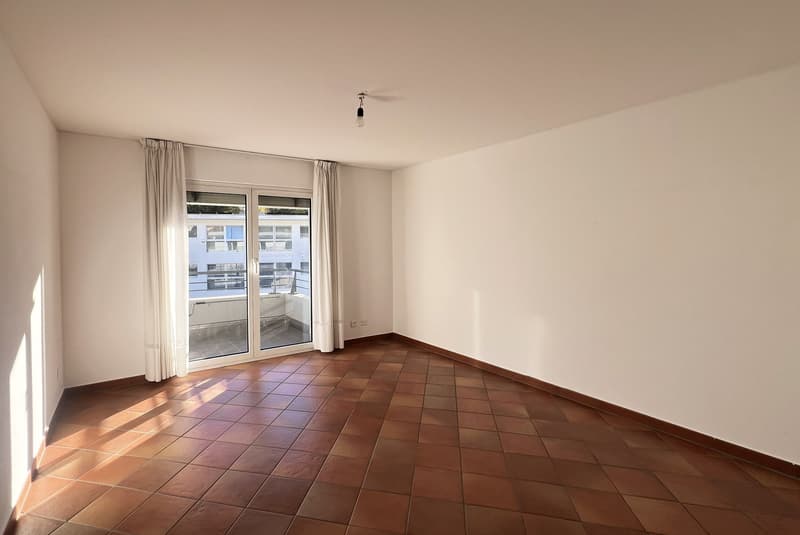 ULTIMO PIANO 4.5 NEL VERDE CON TERRAZZA A PONTE CAPRIASCA (5)