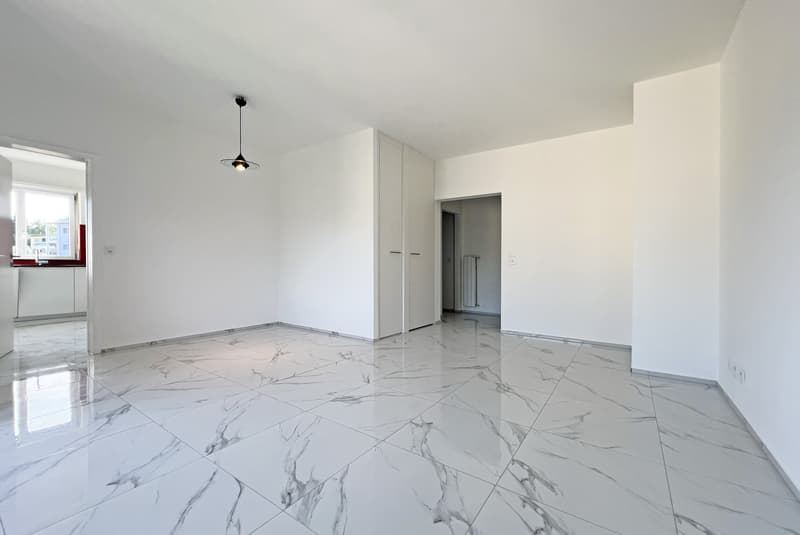 AFFARE - LUMINOSO 4.5 RINNOVATO CON TERRAZZA A GRAVESANO (1)