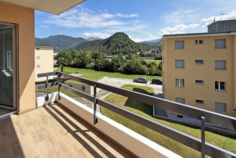 AFFARE - LUMINOSO 4.5 RINNOVATO CON TERRAZZA A GRAVESANO (2)