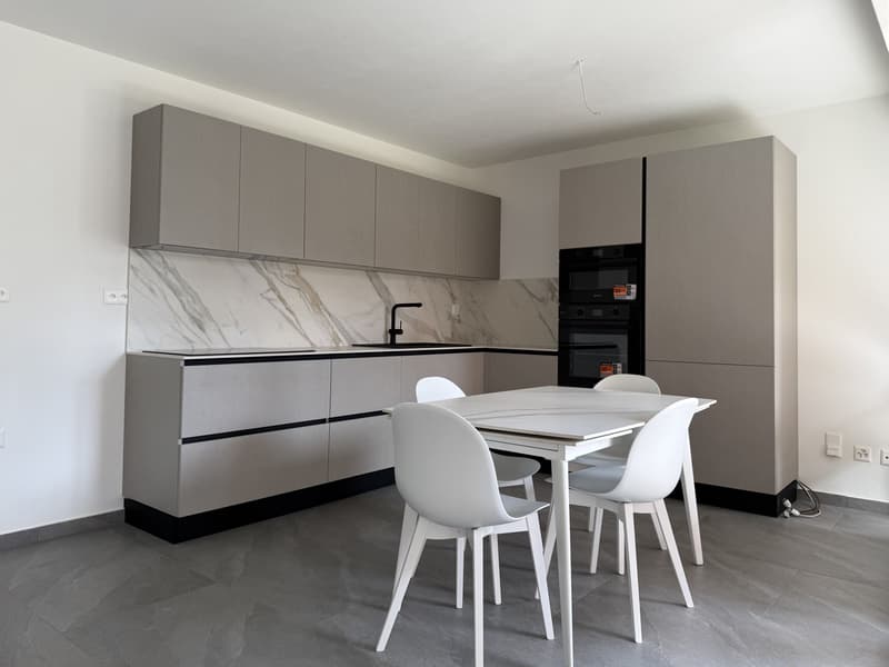 BELLISSIMO 3.5 COME NUOVO CON TERRAZZA A MENDRISIO (2)