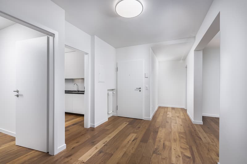 STUPENDO ED ELEGANTE 4.5 LOCALI COME NUOVO A STABIO (9)