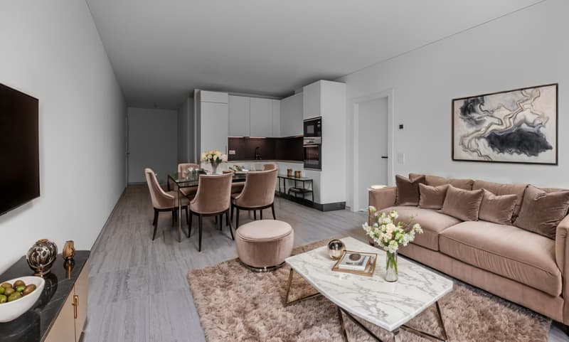 BELLISSIMO E MODERNO 3.5 LOCALI CON TERRAZZA A GENESTRERIO (4)