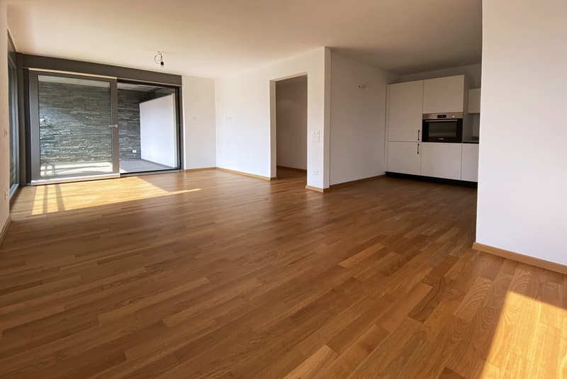 LUMINOSO E MODERNO 4.5 CON AMPIA TERRAZZA A MENDRISIO CENTRO (3)