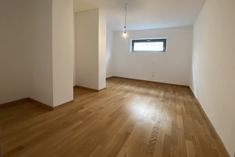 LUMINOSO E MODERNO 4.5 CON AMPIA TERRAZZA A MENDRISIO CENTRO (6)