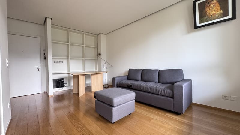 AFFITTASI 2.5 CON GIARDINO PISCINA E VISTA LAGO A BISSONE (8)