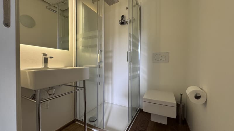 AFFITTASI 2.5 CON GIARDINO PISCINA E VISTA LAGO A BISSONE (9)