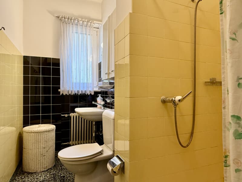 RENT TO BUY - SPAZIOSO 4.5 LOCALI IN ZONA COMODA A MENDRISIO (9)