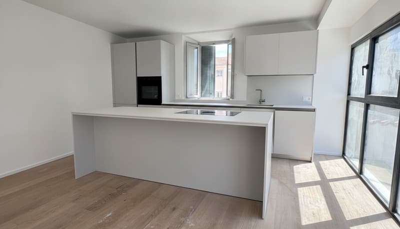 AMPIO E MODERNO 3.5 LOCALI DI CHARME A MENDRISIO CENTRO (2)