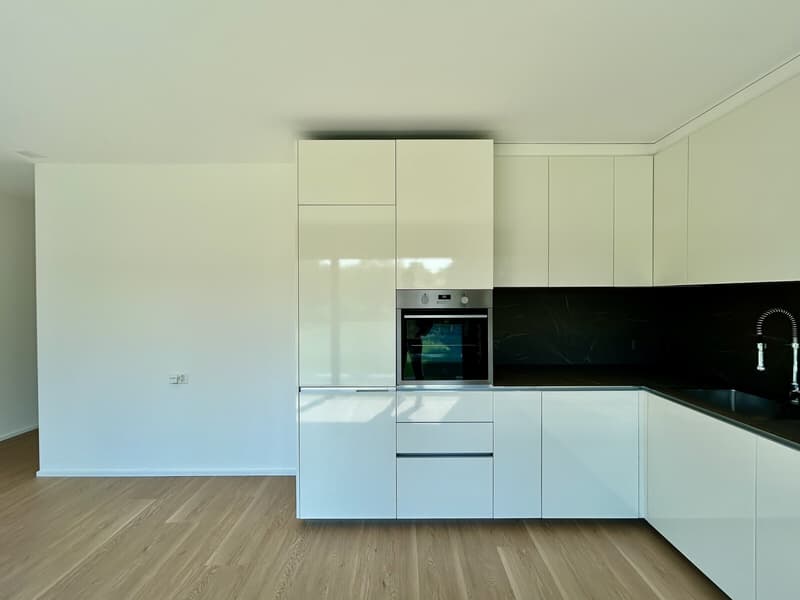 AFFITTASI NUOVO 3.5 LOCALI CON VISTA APERTA A NOVAZZANO (3)