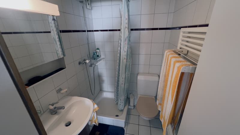 RESIDENZA SECONDARIA - 3.5 LOCALI CON TERRAZZA AD ASTANO (8)