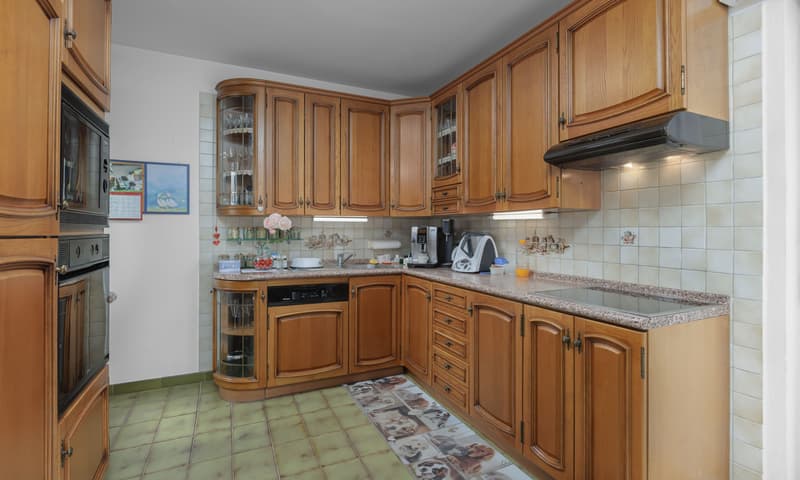 STUPENDA VILLA 8.5 LOCALI CON GIARDINO E GROTTO A GIUBIASCO (5)