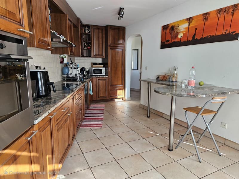 BELLISSIMA VILLA BIFAMILIARE 6.5 CON GIARDINO A GIUBIASCO (6)