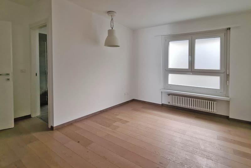 AMPIO 3.5 CON VISTA LAGO MOZZAFIATO A LUGANO CASTAGNOLA (6)
