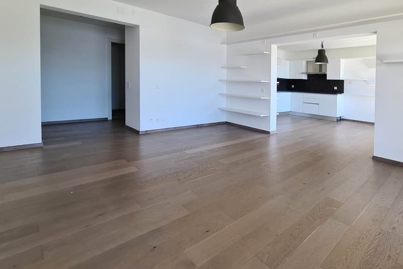 AMPIO 3.5 CON VISTA LAGO MOZZAFIATO A LUGANO CASTAGNOLA (4)