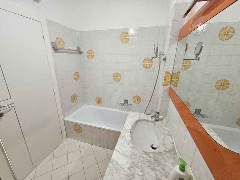 AFFITTASI BELLISSIMO 2.5 LOCALI RINNOVATO CON VISTA LAGO (8)