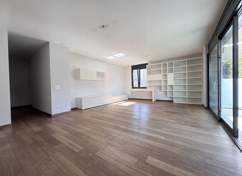 AMPIO 4.5 LOCALI CON TERRAZZA E POSTEGGI A LUGANO PREGASSONA (6)