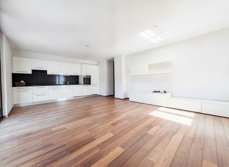 AMPIO 4.5 LOCALI CON TERRAZZA E POSTEGGI A LUGANO PREGASSONA (1)