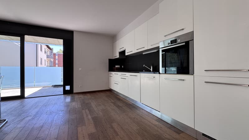 AMPIO 4.5 LOCALI CON TERRAZZA E POSTEGGI A LUGANO PREGASSONA (4)