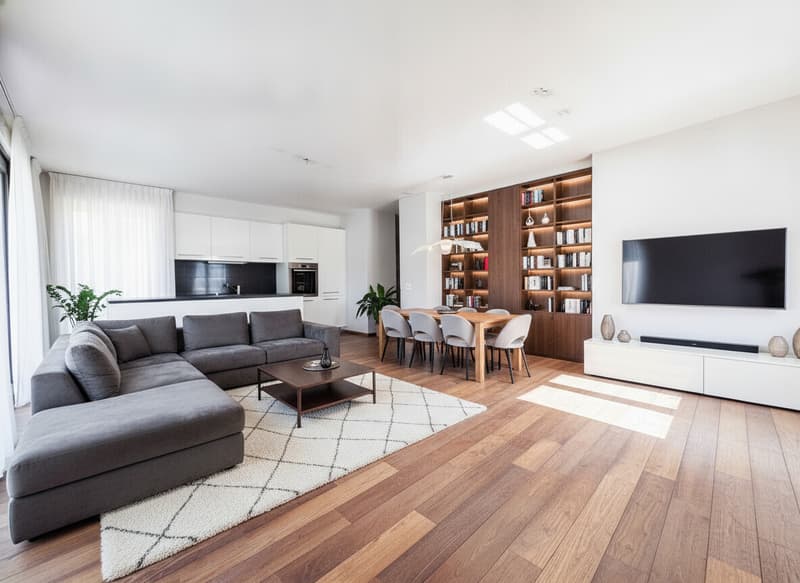 AMPIO 4.5 LOCALI CON TERRAZZA E POSTEGGI A LUGANO PREGASSONA (3)