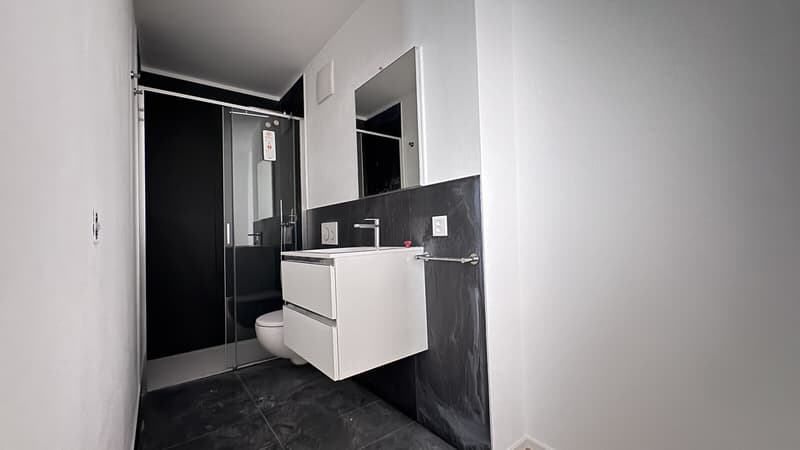 MODERNO ED AMPIO 3.5 LOCALI DI CHARME A MENDRISIO CENTRO (7)