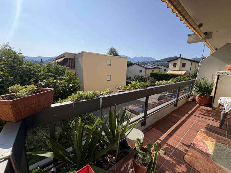 GRAZIOSO 3.5 LOCALI CON TERRAZZA E GIARDINO A PREGASSONA (8)
