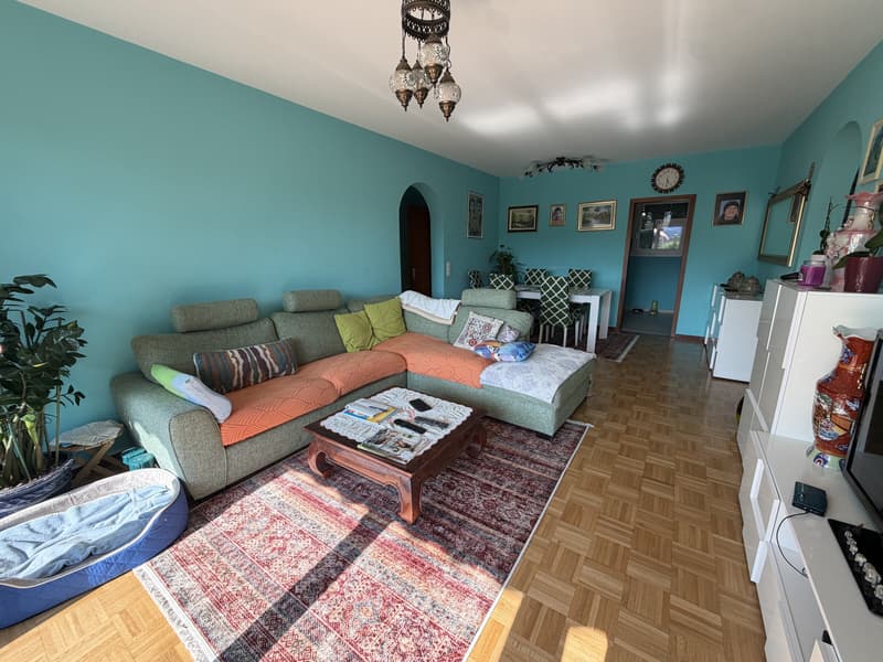 GRAZIOSO 3.5 LOCALI CON TERRAZZA E GIARDINO A PREGASSONA (3)