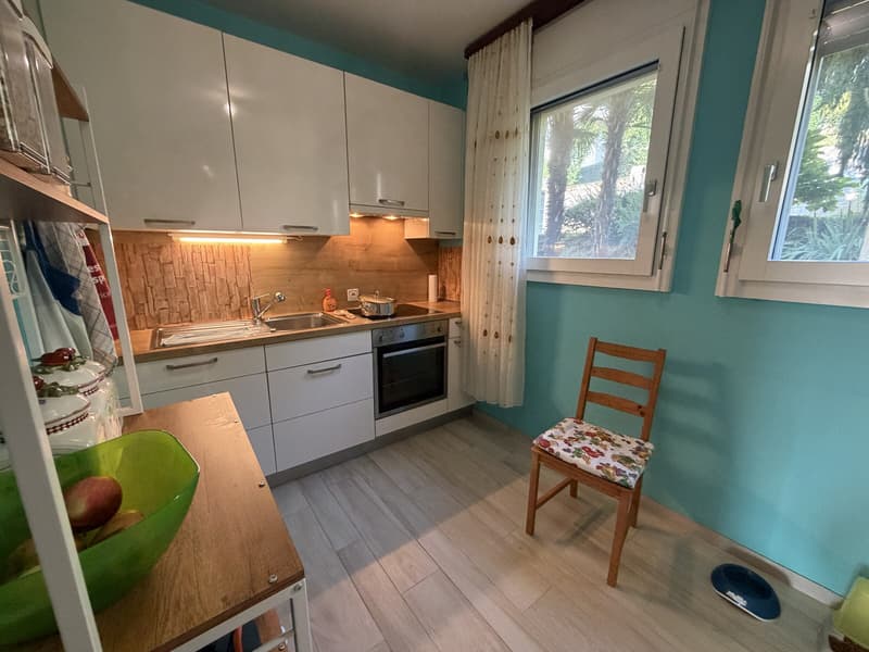 GRAZIOSO 3.5 LOCALI CON TERRAZZA E GIARDINO A PREGASSONA (5)