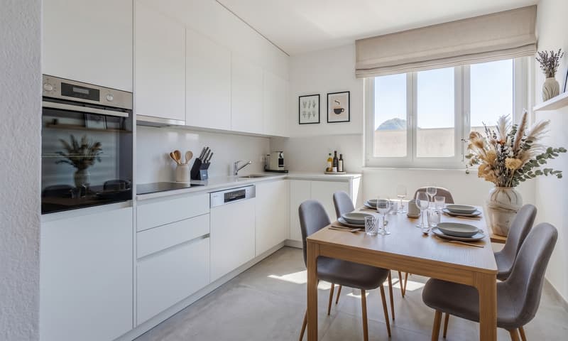 SPAZIOSO 5.5 LOCALI CON VISTA APERTA A POCHI PASSI DA LUGANO (3)