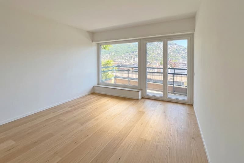 SPLENDIDO 4.5 LOCALI VISTA LAGO IN ZONA CENTRALE A LUGANO (7)