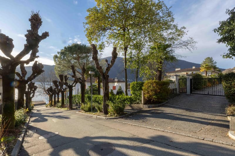 BELLISSIMO 1.5 A REDDITO CON GIARDINO E PISCINA A MORCOTE (10)