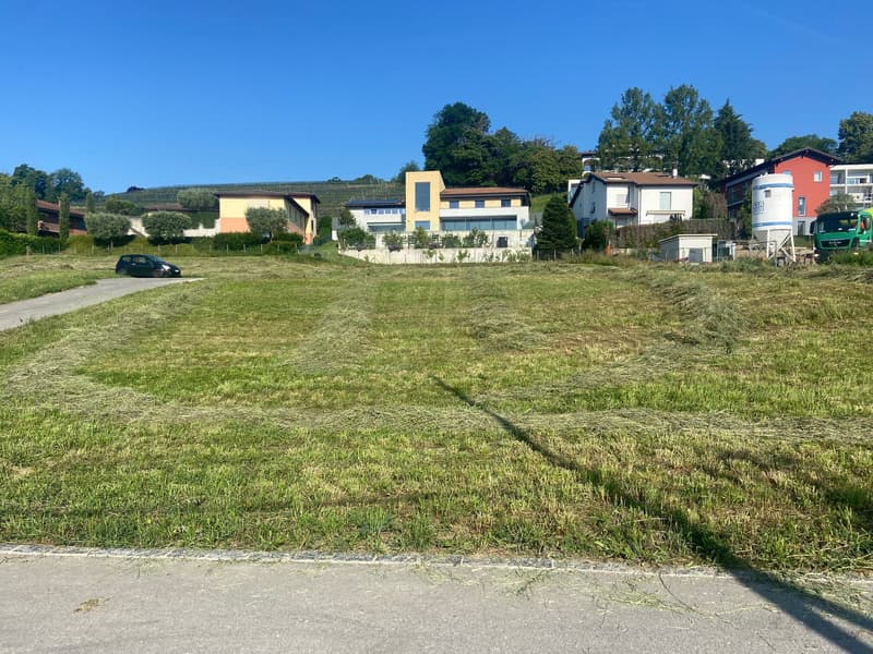 GRANDE PORZIONE DI TERRENO PER UNA AMPIA VILLA A STABIO (2)