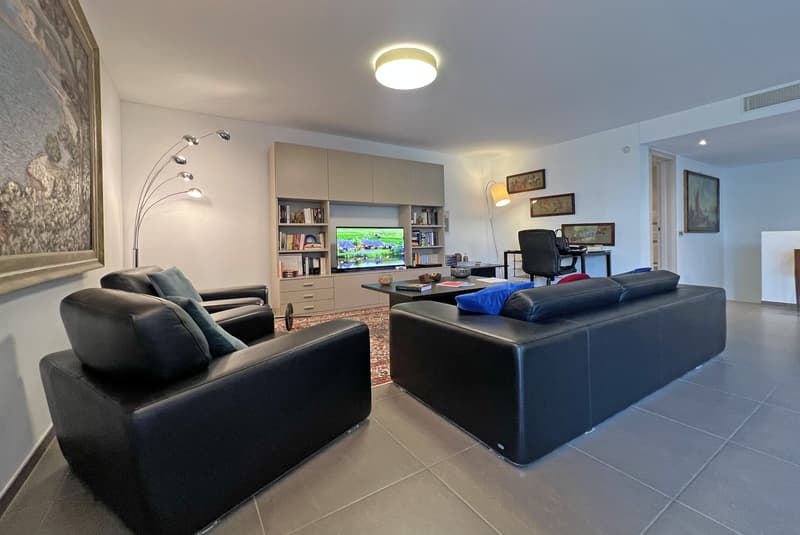 SPAZIOSO 3.5 LOCALI CON GIARDINO E LOCALI EXTRA A MASSAGNO (5)