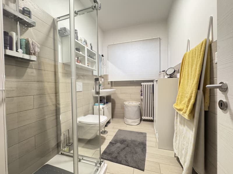 AMPIO 4.5 LOCALI COME NUOVO CON BALCONE A LUGANO BREGANZONA (8)