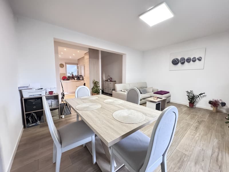 AMPIO 4.5 LOCALI COME NUOVO CON BALCONE A LUGANO BREGANZONA (4)