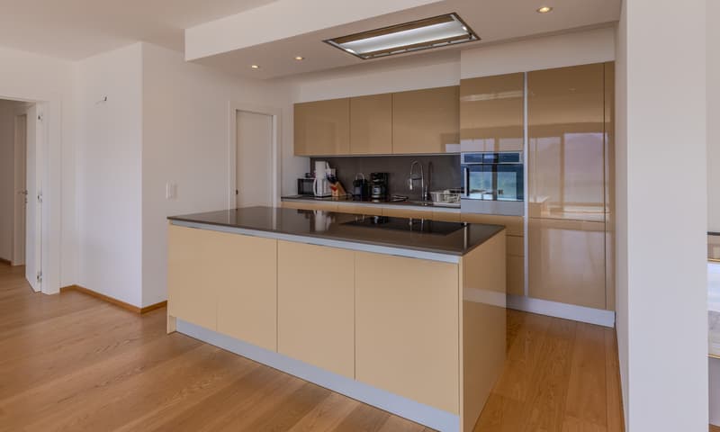 MODERNO E AMPIO 4.5 LOCALI CON TERRAZZA VISTA LAGO A VERNATE (4)